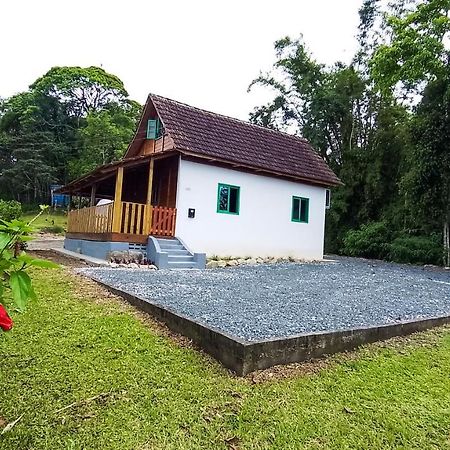 Willa Casa Do Tesouro Joinville Zewnętrze zdjęcie